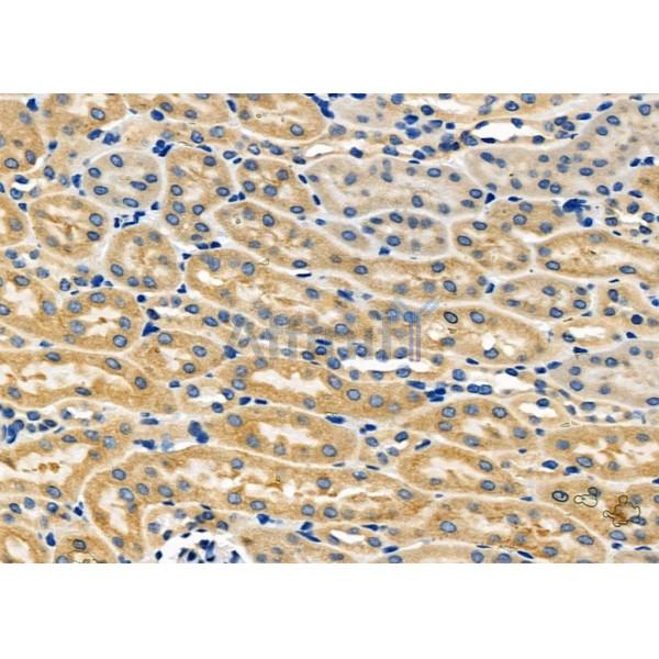 Валидация Affinity DF10172 - 5709