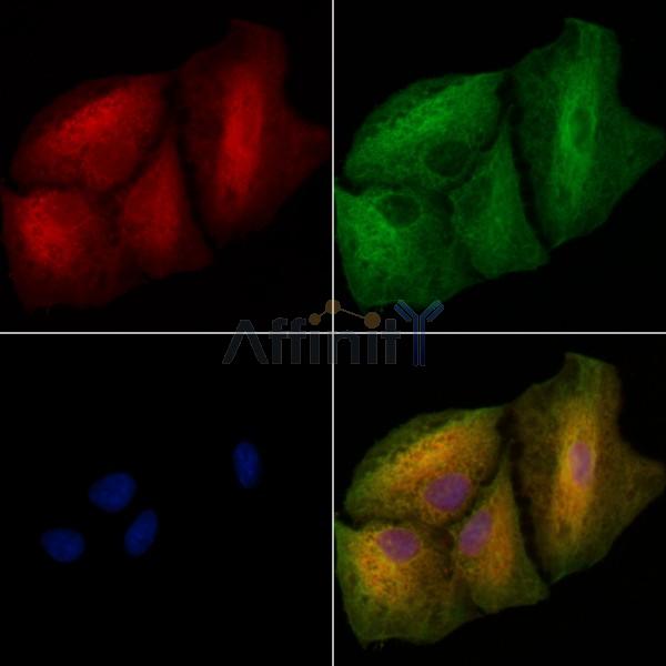 Валидация Affinity DF12079 - 6163