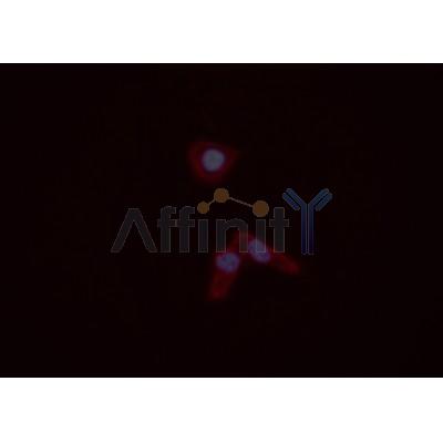 Валидация Affinity DF6516 - 17929