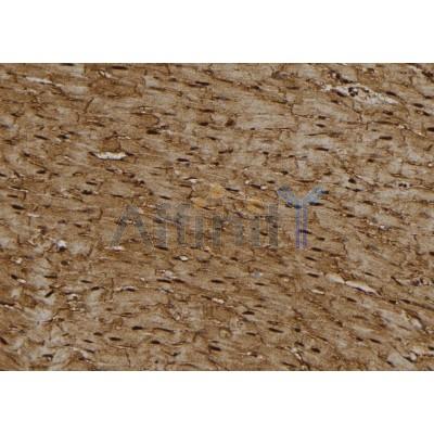 Валидация Affinity DF7396 - 19129