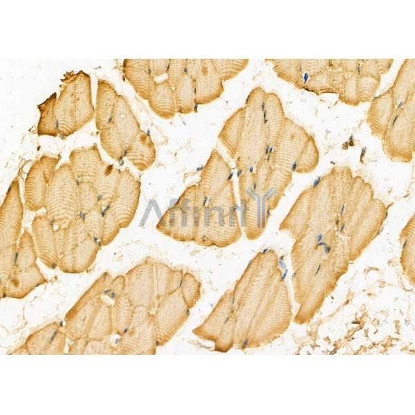 Валидация Affinity DF4935 - 16759