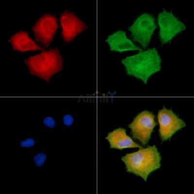 Валидация Affinity DF4134 - 15435