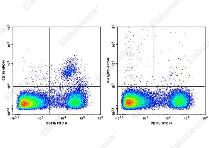 Валидация Elabscience AN00629E