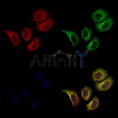 Валидация Affinity DF12712 - 7378