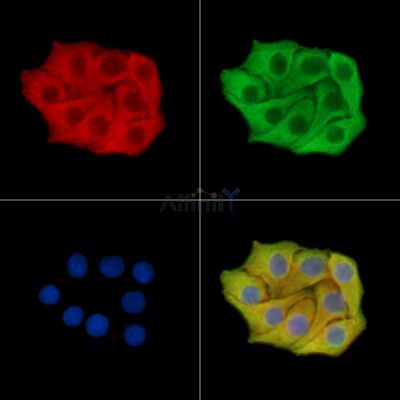 Валидация Affinity DF14639 - 10672