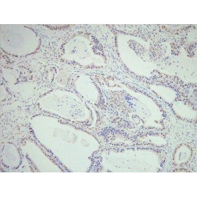 Валидация Affinity DF6202 - 17462