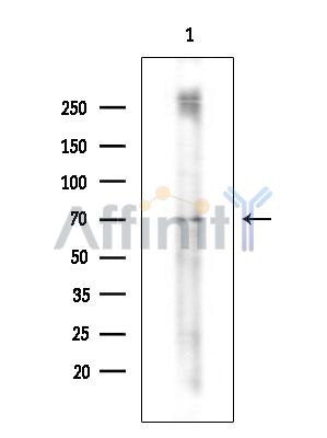 Валидация Affinity DF15452 - 11802
