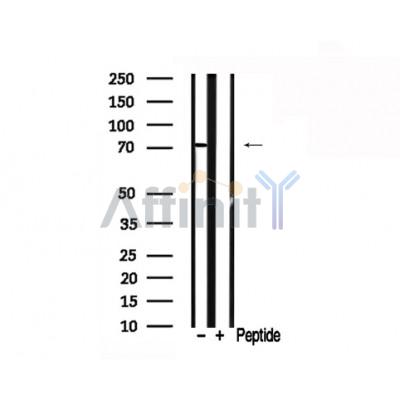 Валидация Affinity AF7767 - 4475