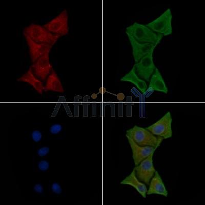 Валидация Affinity DF2540 - 13204