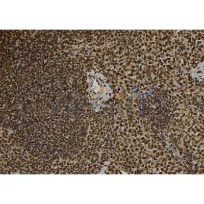 Валидация Affinity DF6829 - 18399