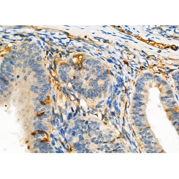 Валидация Affinity DF7917 - 19746