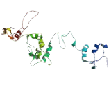 Mannosyl Alpha-1,3-Glycoprotein Beta-1,4-N-Acetylglucosaminyltransferase Isozyme B (MGAT4B)