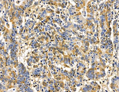 Валидация Affinity DF14612 - 10633