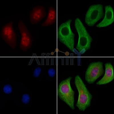 Валидация Affinity AF6289 - 3551