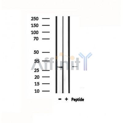 Валидация Affinity DF4804 - 16544