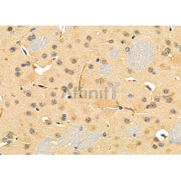 Валидация Affinity DF4901 - 16700