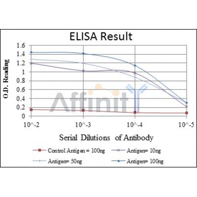 Валидация Affinity BF9215 - 5435