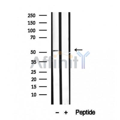 Валидация Affinity DF12316 - 6706