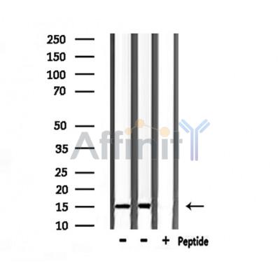 Валидация Affinity DF6541 - 17973