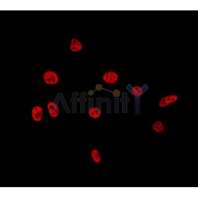 Валидация Affinity DF3382 - 14267