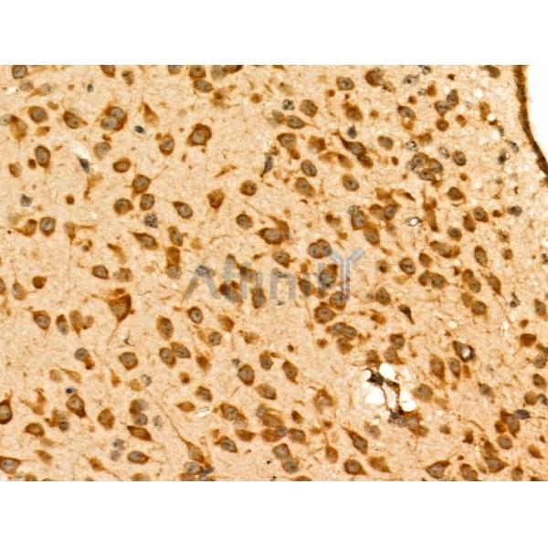 Валидация Affinity DF3180 - 13986