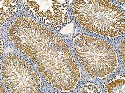 Валидация Affinity DF14448 - 10417