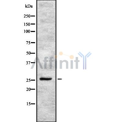 Валидация Affinity DF8045 - 19872