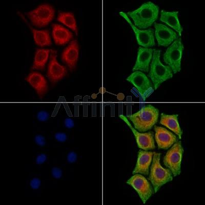 Валидация Affinity DF7562 - 19318