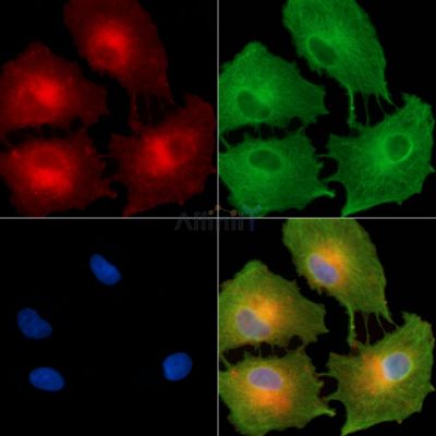 Валидация Affinity DF9006 - 21218