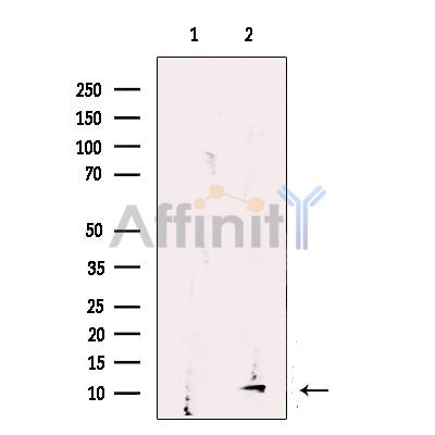 Валидация Affinity DF12496 - 7073