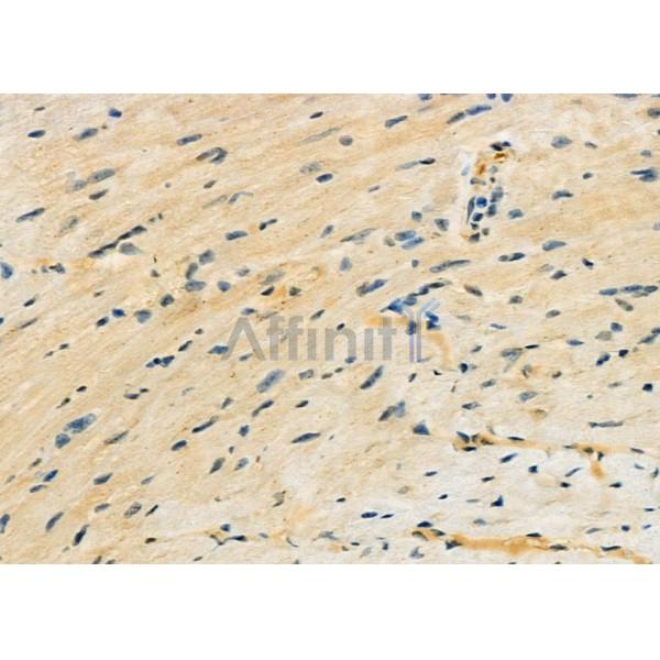 Валидация Affinity DF12273 - 6612