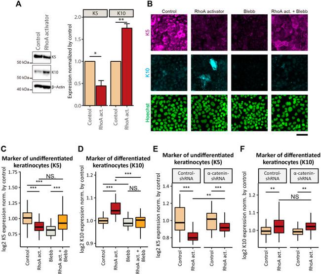 Валидация AssayVector ARM1402(1142)