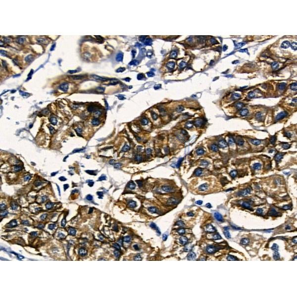 Валидация Affinity AF5188 - 2625