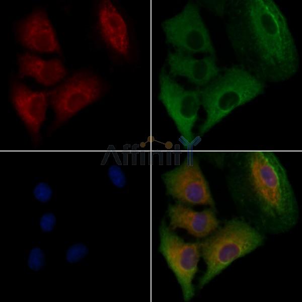 Валидация Affinity DF3561 - 14509