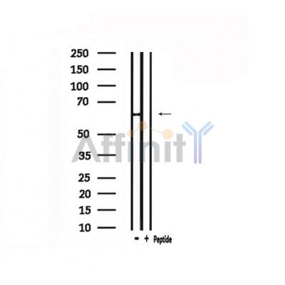 Валидация Affinity DF4913 - 16719