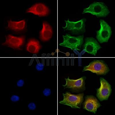 Валидация Affinity DF12445 - 6974