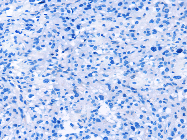 Валидация AssayVector ARM2502(4470)