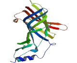 Gamma-Aminobutyric Acid A Receptor Beta 3 (gABRb3) Gamma-Aminobutyric Acid A Receptor Beta 3 (gABRb3)