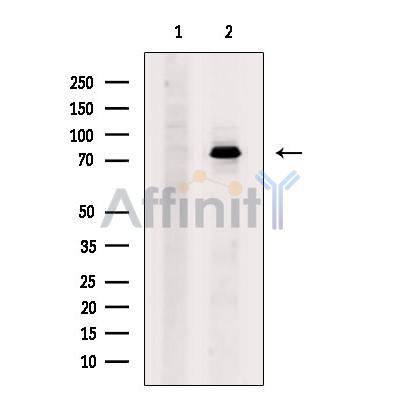 Валидация Affinity AF6410 - 3704