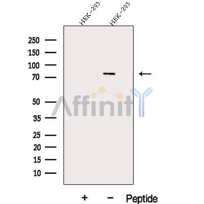 Валидация Affinity DF12935 - 7690