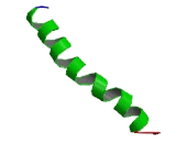 G Protein Coupled Receptor 173 (GPR173) G Protein Coupled Receptor 173 (GPR173)