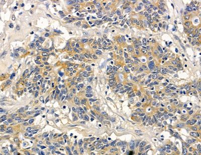 Валидация Affinity DF15771 - 12250