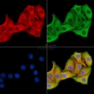 Валидация Affinity DF14641 - 10675