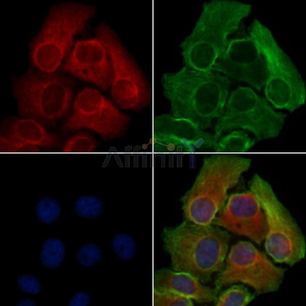 Валидация Affinity DF5007 - 16876