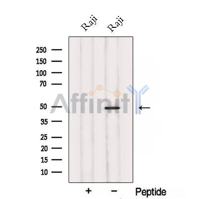 Валидация Affinity DF12738 - 7416