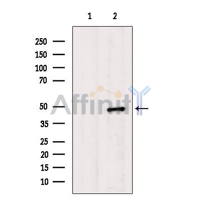 Валидация Affinity DF6759 - 18317