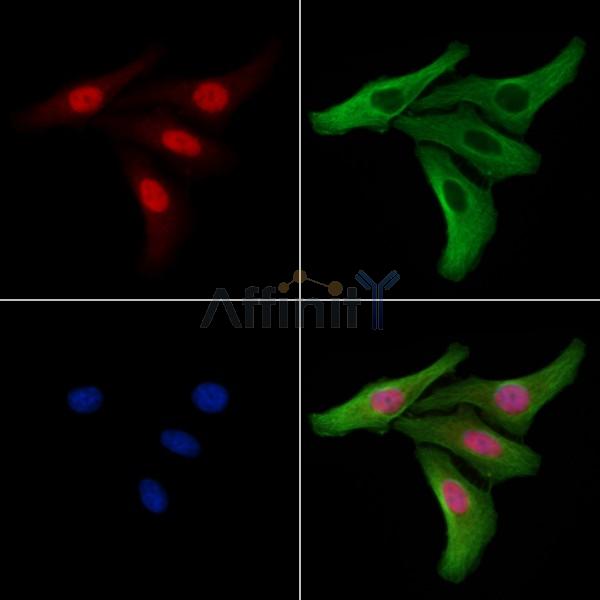 Валидация Affinity DF8436 - 20317