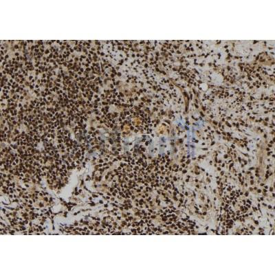 Валидация Affinity DF6993 - 18634