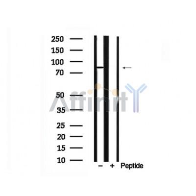 Валидация Affinity AF7710 - 4400