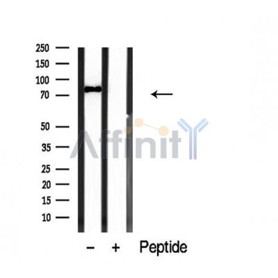 Валидация Affinity DF3872 - 15024